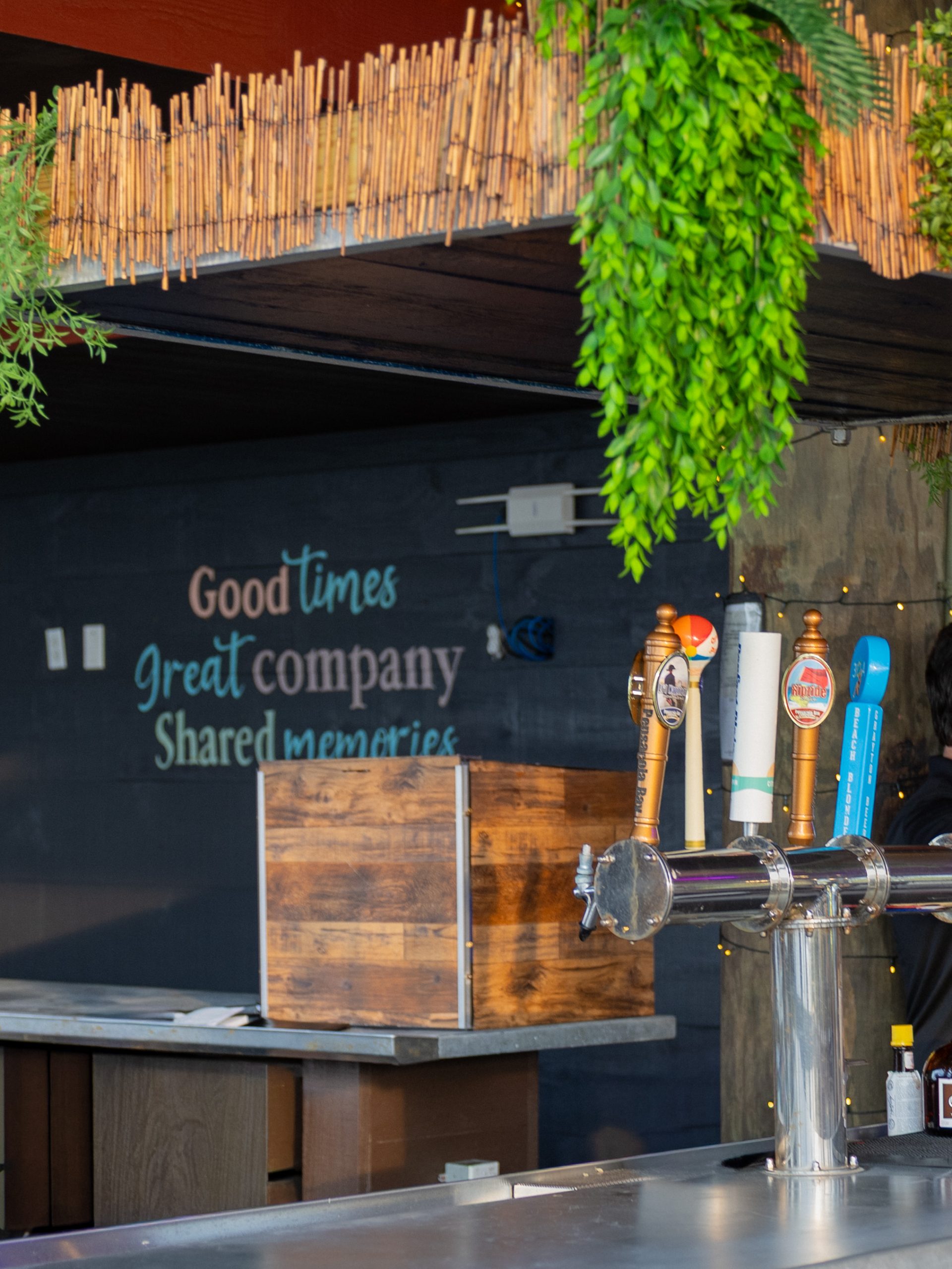 Bar with taps and decorative plants
